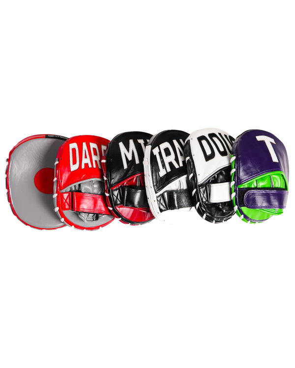 GT Punch Mitts