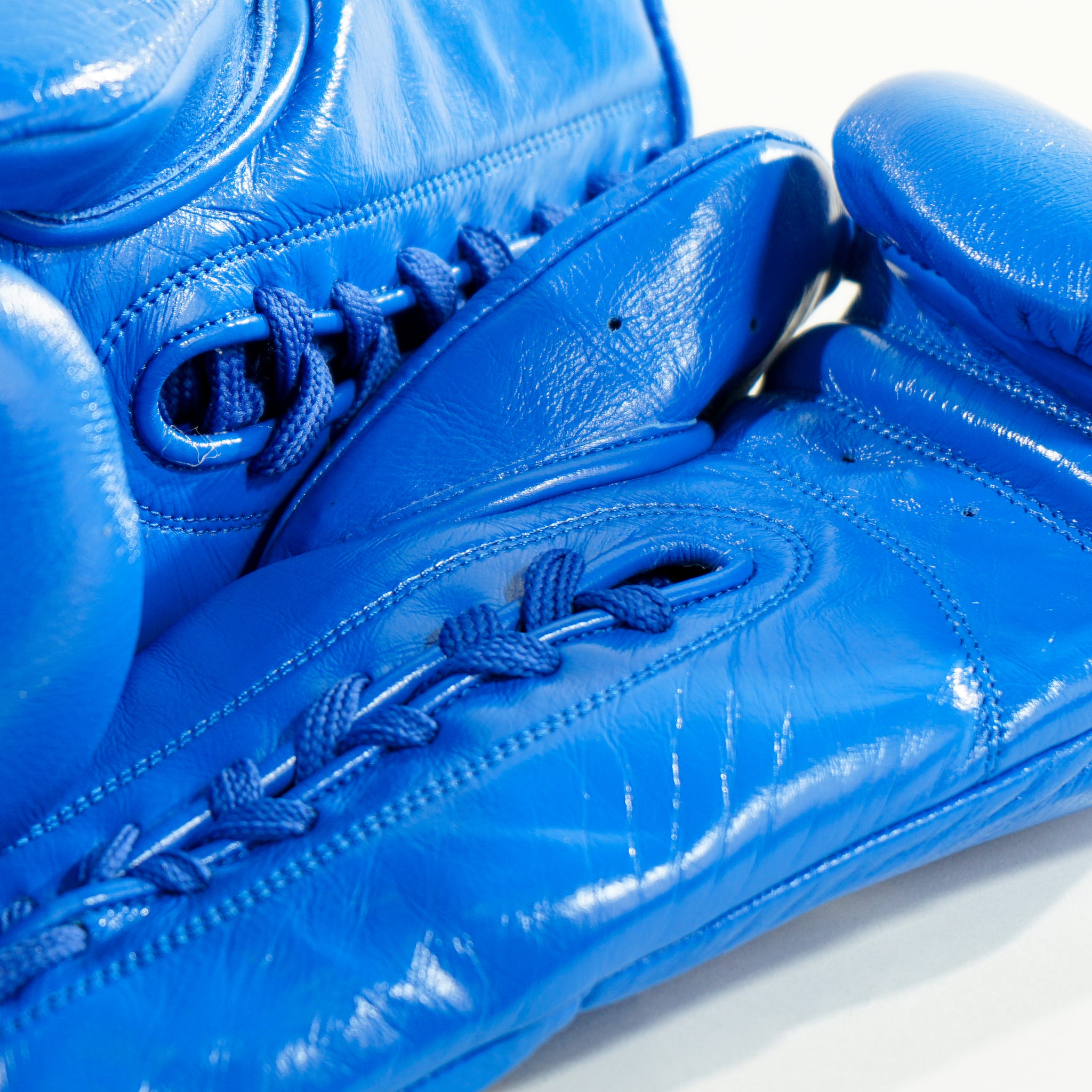 Horsehair Gloves – GT Boxing