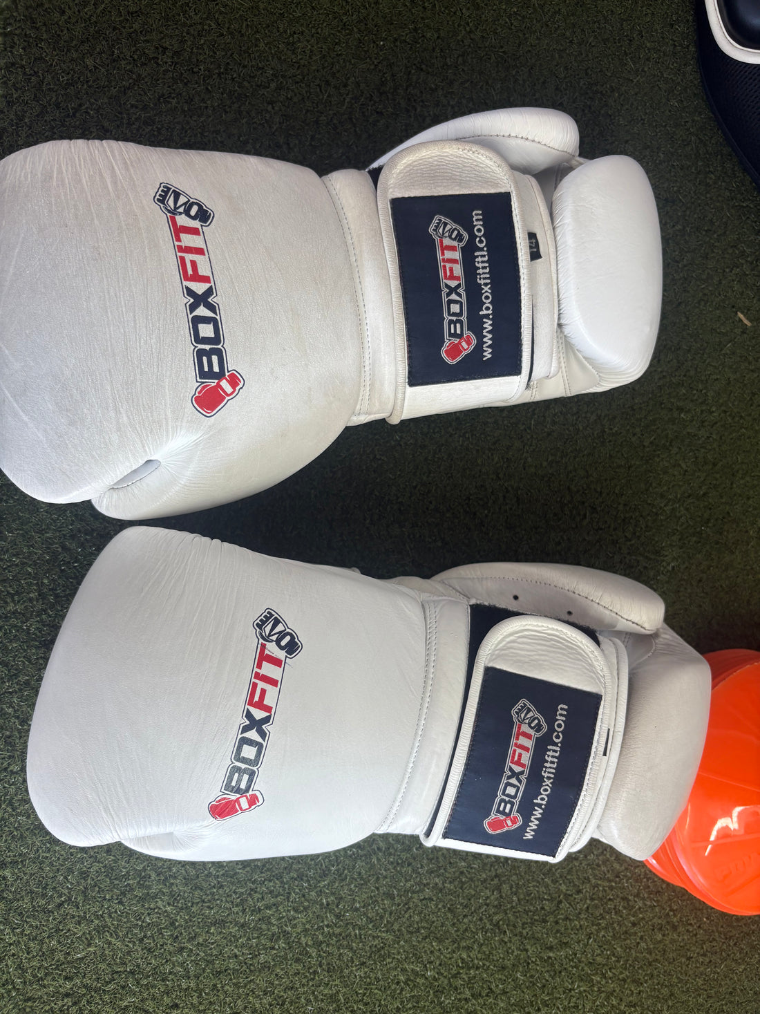 Boxfit Wholesale Order